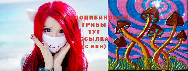 бутират Осташков