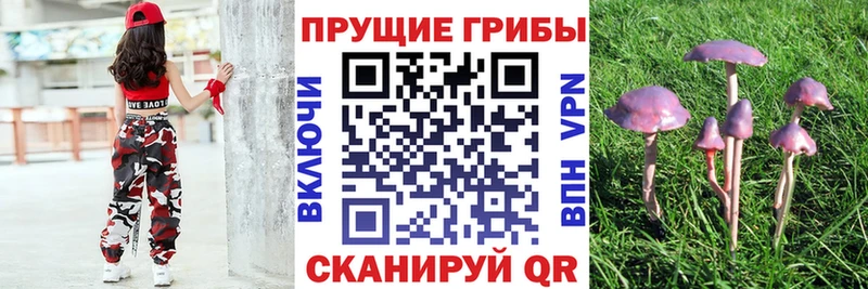 Галлюциногенные грибы мицелий  МЕГА онион  Полярный 
